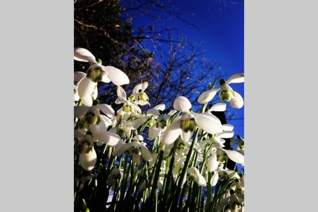 The Snug At Cornish Barn Holidays Truro Exteriér fotografie